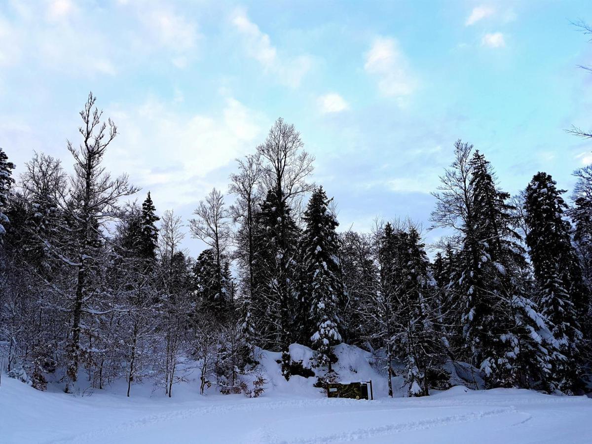 Auberge Refuge De Roybon Saint-Martin-en-Vercors Exteriör bild